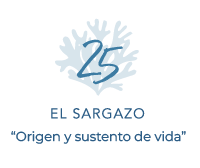 Origen y sustento Origen y sustento