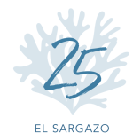 logo fondo claro@4x